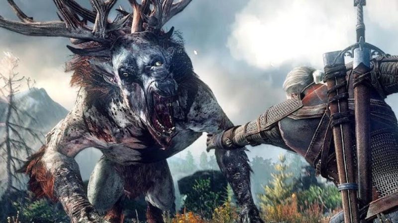 The Witcher 3 Everything You Need To Know About Axii 10