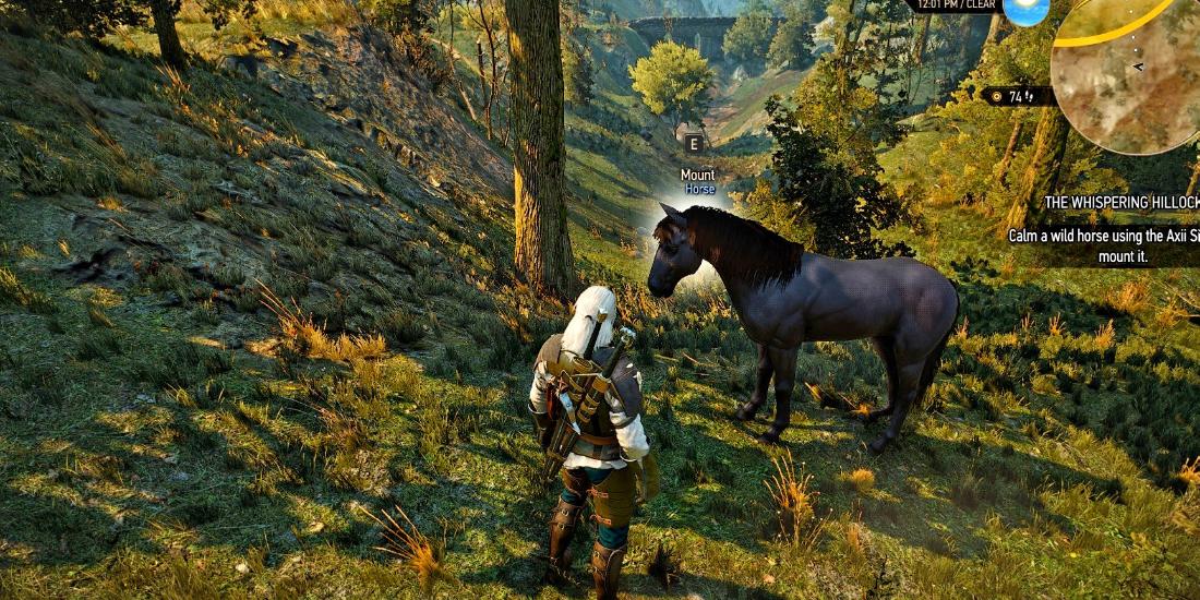 The Witcher 3 Everything You Need To Know About Axii